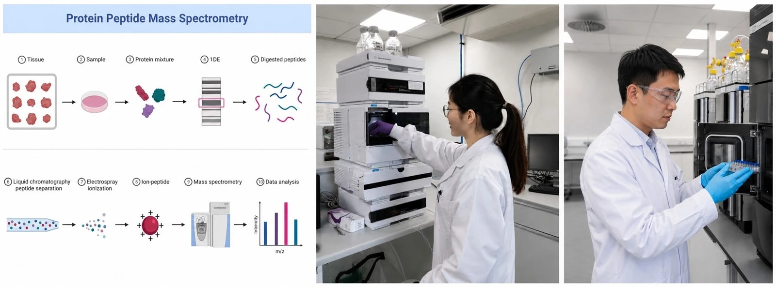 high-purity-peptide-api-demand.jpg